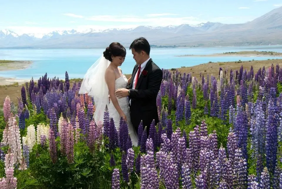 A wedding among the summer lupins at Lake Tekapo