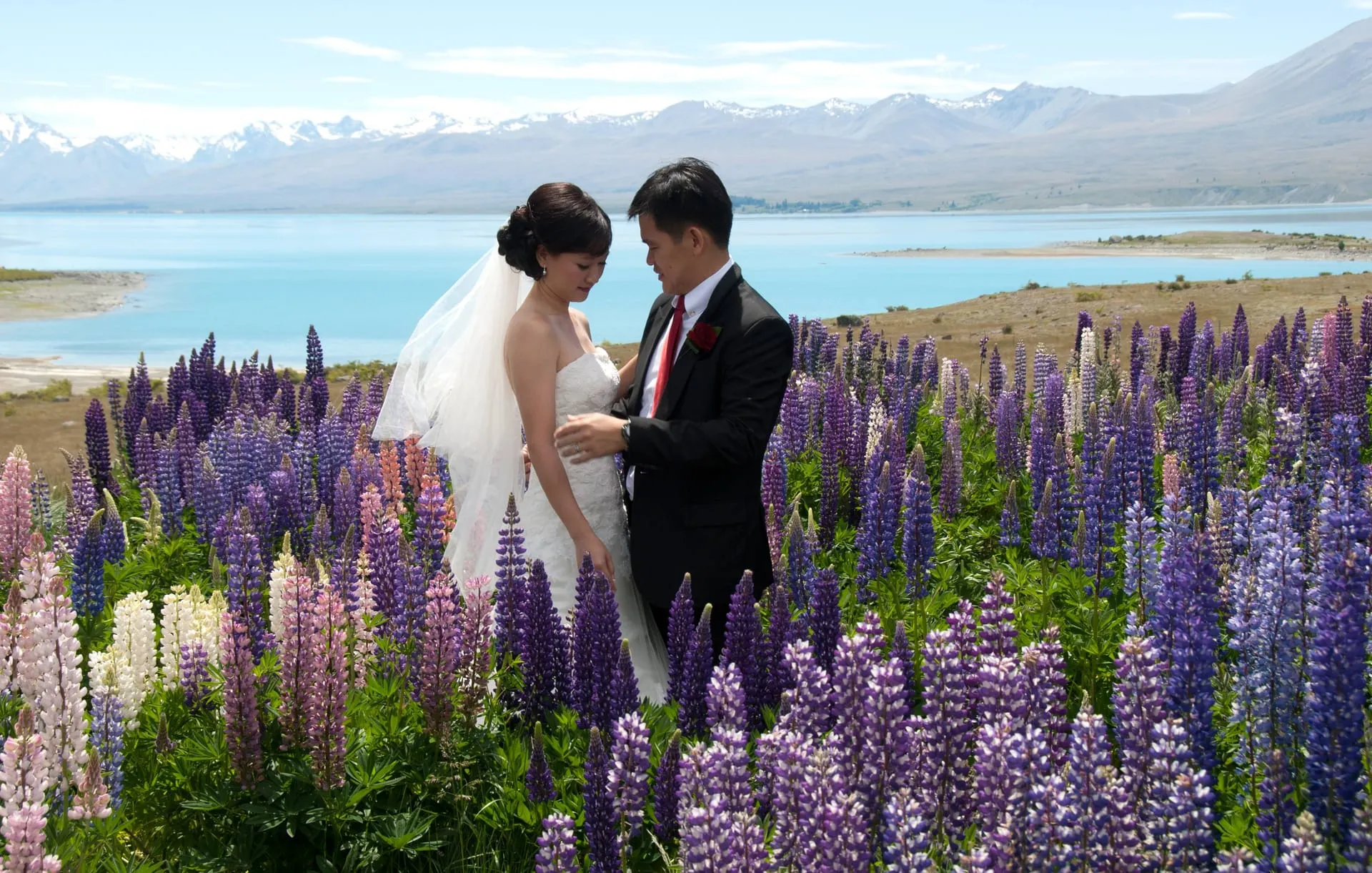 A bride and groom standing among tall summer lupins with Lake Tekapo and the mountains beyond