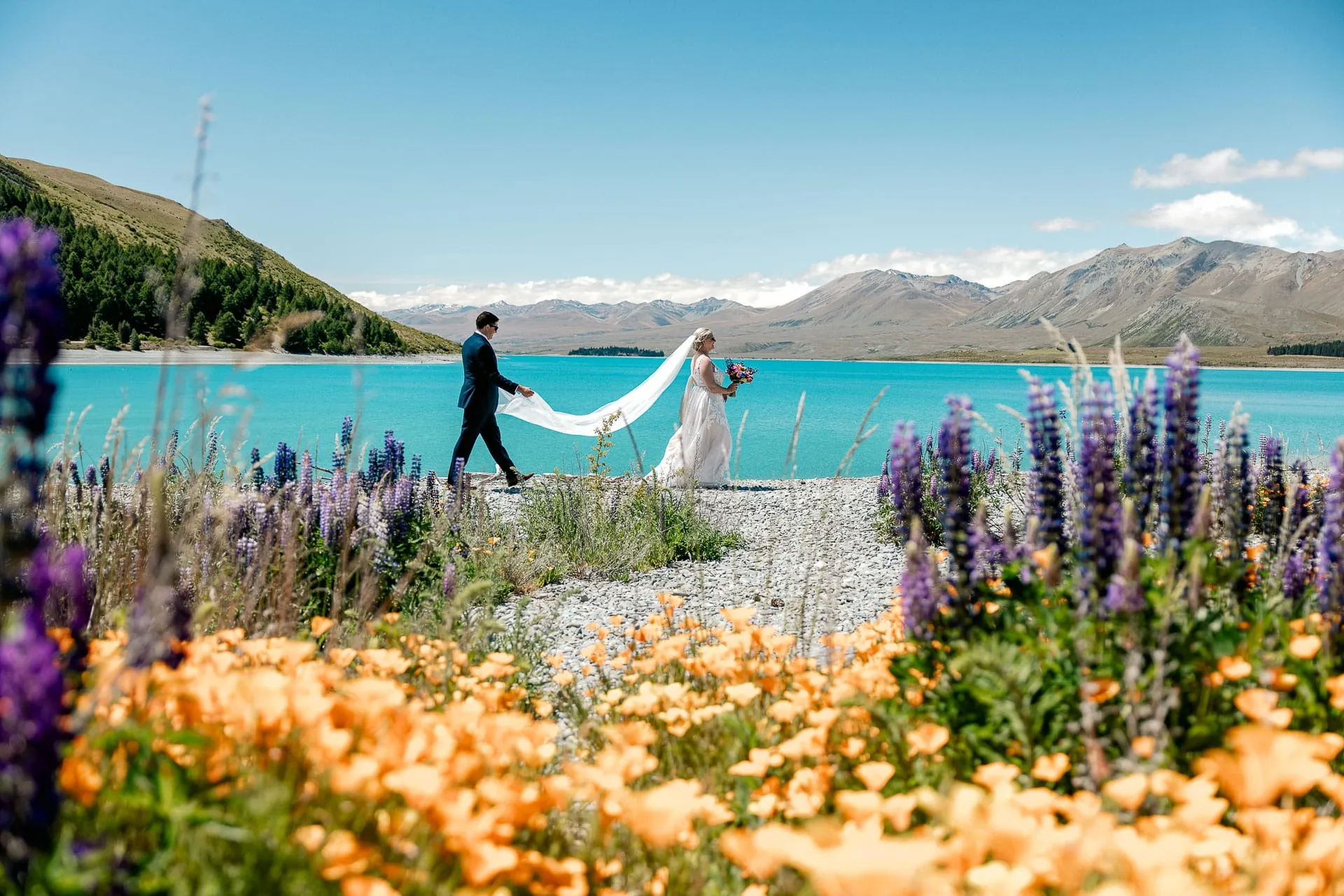 A bride and groom walking the shore of Lake Tekapo, framed by lupins and golden poppies